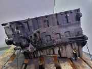 Motorblock 306D1 BMW 5 serie (E39) Limousine 530d 24V (M57-D30(306D1))
