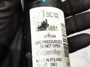 Stoßdämpfer Rechts Vorne 51929881 Peugeot Bipper Tepee (AJ) Großraumlimousine 1.3 HDI (199.A.9000)