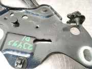 Motorhaubescharnier 7418201 BMW X6 (G06) SUV xDrive 40d Mild Hybrid 3.0 24V (B57-D30B)