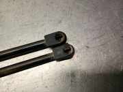 Gasdruckfedern Set Hinten 51927230 Fiat Doblo (263) Großraumlimousine 1.3 D Multijet DPF Euro 5 (263.A.2000)