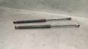 Gasdruckfedern Set Hinten 689600D012 Toyota Yaris II (P9) Schrägheck 1.4 D-4D (1NDTV)
