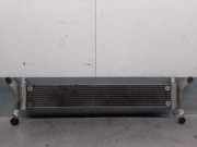 Radiator 7L6121212B Audi Q7 (4LB) SUV 3.0 TDI V6 24V (BUG)