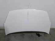 Motorhaube 7901P7 Citroën CITROËN Furgoneta/monovolumen (B9) 1.6 HDi 90