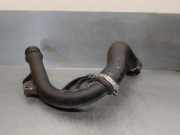 Schlauch 310000195603 Renault Captur II (RJB) SUV 1.0 TCe 90 12V (H4D-470)