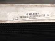 Ladeluftkühler 1J0145803H Volkswagen Polo IV (9N1/2/3) Schrägheck 1.4 TDI 75 (AMF) AMF