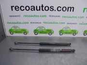 Gasdruckfedern Set Hinten 51778432 Fiat Grande Punto (199) Schrägheck 1.3 JTD Multijet 16V VGT (199.A.3000)