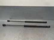 Schiebetür Links 51814872 Fiat Doblo (263) Großraumlimousine 1.3 D Multijet DPF Euro 5 (263.A.2000)