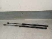 Gasdruckfedern Set Hinten 51247456042 BMW 1 serie (F40) Schrägheck 118i 1.5 TwinPower 12V (B38-A15F)