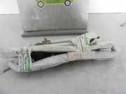 Vorhang Airbag Links VOOR 8200071324 Renault MEGANE I SCENIC (JA0) 1.9dTi Alize