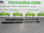 Gasdruckfeder Set Vorne 46784590 Fiat Stilo MW (192C) Kombi 1.4 16V (843.A.1000)