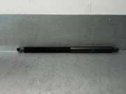 Gasdruckfedern Set Hinten 51247497482 BMW X3 (G01) SUV xDrive 20d 2.0 TwinPower 16V Mild Hybrid (B47-D20B)