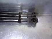 Gasdruckfedern Set Hinten 51247250308 BMW 3 serie (E90) Limousine 320d 16V (N47-D20C)