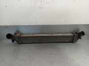 Ladeluftkühler 8200245599 Renault Clio II (BB/CB) Schrägheck 1.5 dCi 100 (K9K-712)