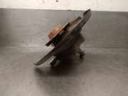 Achsschenkel Halter Links Hinten 9820098380 Peugeot 3008 II (M4/MC/MJ/MR) GroÃŸraumlimousine 1.6 BlueHDi 120 (DV6FC(BHZ))