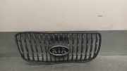Grill 8636207010 Kia Picanto (BA) Schrägheck 1.0 12V (G4HE)