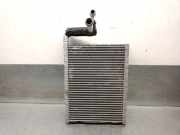 Klima Verdampfer 64119378108 BMW 5 serie (G30) Limousine 523d 2.0 TwinPower Turbo 16V (B47-D20A)