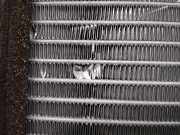 Klima Radiator 7L0819032A Audi Q7 (4LB) SUV 3.0 TDI V6 24V (BUG)