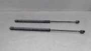 Gasdruckfedern Set Hinten 2029800364 Mercedes-Benz C Kombi (S202) Kombi 2.5 C-250 TDT 20V (OM605.960)