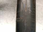 Hintertür GRIS Mitsubishi CARISMA BERLINA 5 (DA0) 1.9 DI-D CAT