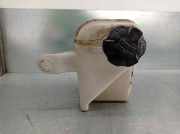 Ausgleichbehälter - - 254301P000 Hyundai iX20 (JC) SUV 1.4 CRDi 16V (D4FC)