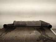 Ladeluftkühler A2105001400 Mercedes-Benz CLASE E (W210) BERLINA 2.6 CAT