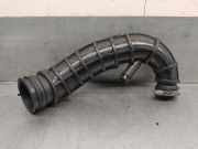 Nebelscheinwerfer Rechts Hinten 9688387880 Citroën C4 Picasso (UD/UE/UF) Großraumlimousine 1.6 HDiF 16V 110 (DV6C(9HL))