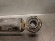 Stoßdämpfer Rechts Hinten 7701066495 Renault Trafic New (FL) Van 2.5 dCi 16V 135 (G9U-730)