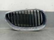 Grill 51137065702 BMW 5 serie Touring (E61) Kombi 525d 24V (256D2)