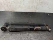Stoßdämpfer Links Hinten 06431011 Renault SCENIC (JA..) 1.9 dCi Diesel CAT