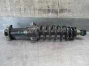 Stoßdämpfer Links Hinten 4853053010 Lexus IS SportCross (E1) Kombi 200 2.0 24V (1G-FE)