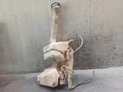 Scheibenwaschbehälter 9642775480 Peugeot PARTNER (S1) 1.9 Diesel