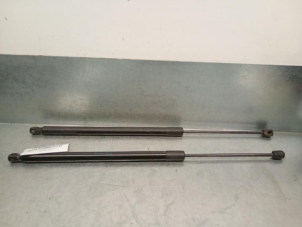 Gasdruckfedern Set Hinten 5NA827550B Volkswagen TIGUAN (5N_) 2.0 TDI DFGA