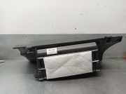 Handschuhfach 77500TGNG2 Honda Civic (FK6/7/8/9) Schrägheck 1.0i VTEC Turbo 12V (P10A2)