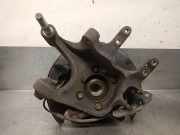 Achsschenkel Halter Rechts Hinten 527202W600 Hyundai Santa Fe III (DM) SUV 2.2 CRDi R 16V 4x2 (D4HB)