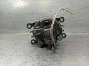 Nebelscheinwerfer Rechts Vorne 89210094 Renault II (BG0) 1.9 dCi Diesel FAP CAT