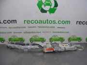 Vorhang Airbag Rechts VOOR 2545170 Nissan X-Trail (T31) SUV 2.0 XE,SE,LE dCi 16V 4x4 (M9R)