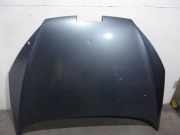 Motorhaube 7901K7 Peugeot 407 (6D) Limousine 2.0 HDiF 16V (DW10BTED4(RHR))