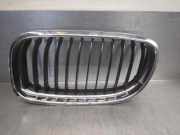 Grill 51712151895 BMW 3 (E90) 320 d