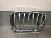 Grill 51117210725 BMW X4 (F26) SAC SUV xDrive20d 16V (B47-D20A)