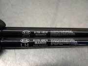 Gasdruckfedern Set Hinten 81780H8010 Kia Rio IV (YB) Schrägheck 1.2 CVVT 16V (G4LF)