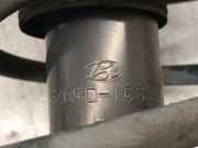 Stoßdämpfer Links Vorne 546501C300 Hyundai Getz Schrägheck 1.1i 12V (G4HD)