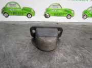 Kennzeichenbeleuchtung 22884R4 Volkswagen PASSAT BERLINA (312) CL