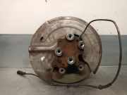 Achsschenkel Halter Rechts Hinten 430420279R Renault GRAND SCÉNIC IV (R9_) 1.3 TCe 140