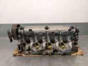 Zylinderkopf 7701478573 Renault I (BA0/1_) 1.9 dTi (BA08, BA0N)