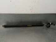 Gasdruckfedern Set Hinten 83A827851A Audi (F3B) 35 TDI