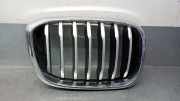 Grill 51137478670 BMW X3 (G01) SUV xDrive 20d 2.0 TwinPower 16V Mild Hybrid (B47-D20B)