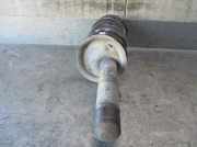 Stoßdämpfer Rechts Vorne 1632006880 Peugeot 206 (2A/C/H/J/S) Schrägheck 1.9 D (DW8B(WJY))