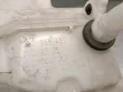 Lenksäule 8200035272 Renault Grand Scénic II (JM) Großraumlimousine 1.9 dCi 120 (F9Q-812)