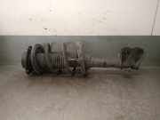 Kühlerventilator 518207180 Fiat Doblo (263) Großraumlimousine 1.3 D Multijet (199.A.3000)