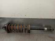 Stoßdämpfer Links Hinten 19019840 Ford Fiesta 3 Schrägheck 1.3 i,Classic (J6B(HCS))